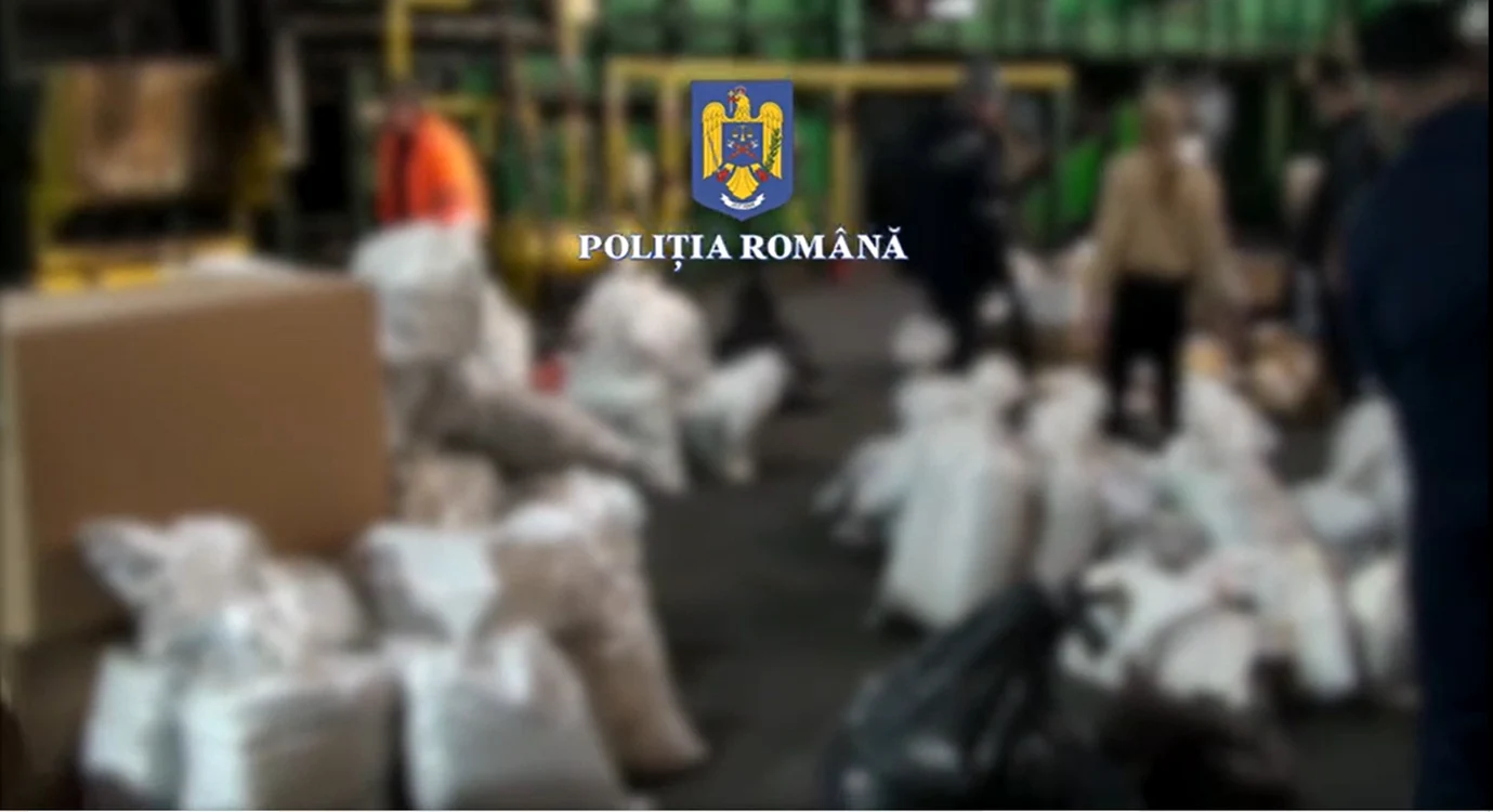 Peste o tonă de droguri au fost distruse FOTO Poliția Română/ captură video