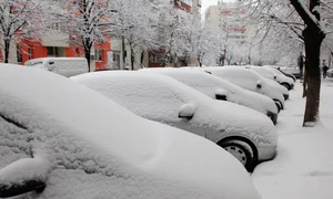 Hai, afară, la lopată! Acesta este imnul bucureștenilor care au vrut să iasă din case astăzi, 11 ianuarie jpeg