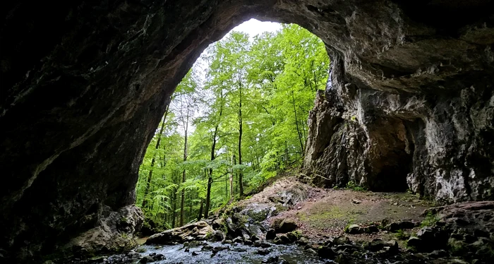 Peștera Cioclovina / foto: arhiva Click!