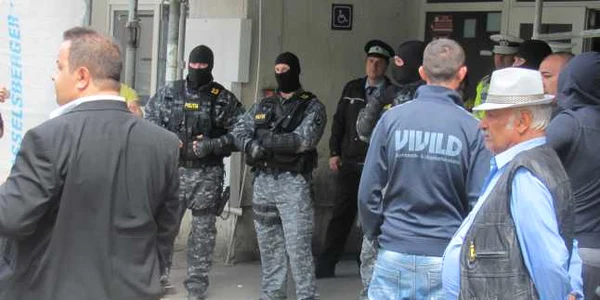 tigani sibiu ramona gaina