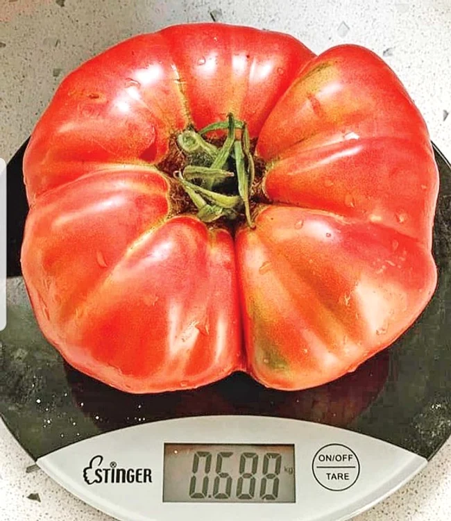 Horia Brenciu a venit şi cu dovada