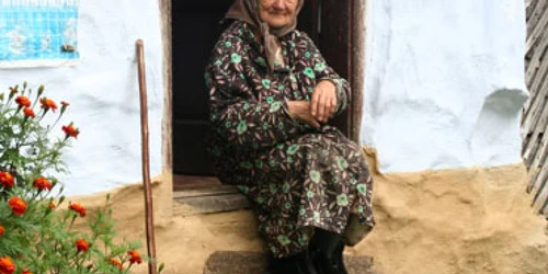 Târgovişte: Un ONG îi va tăia lemnele străbunicii din Muscel