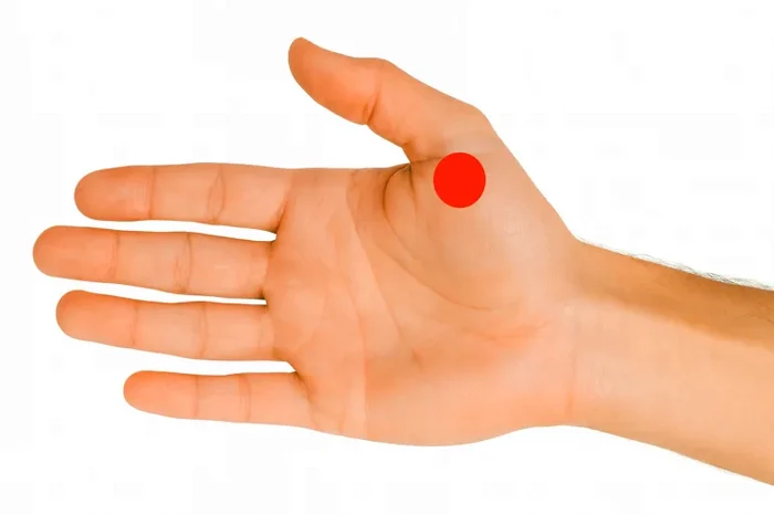 Pentru digestie leneșă – între degetul mare și arătător.