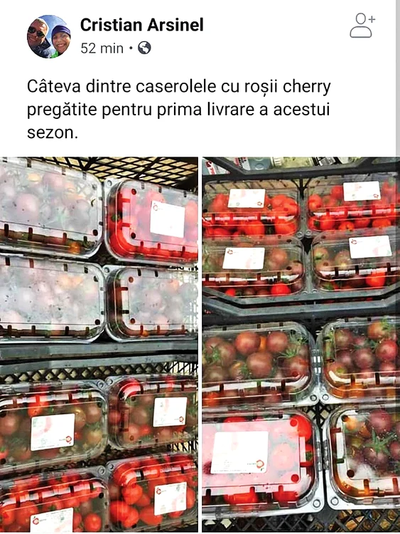  Vinde caserolă  de 500 de grame  cu 10 lei, în  supermarketuri