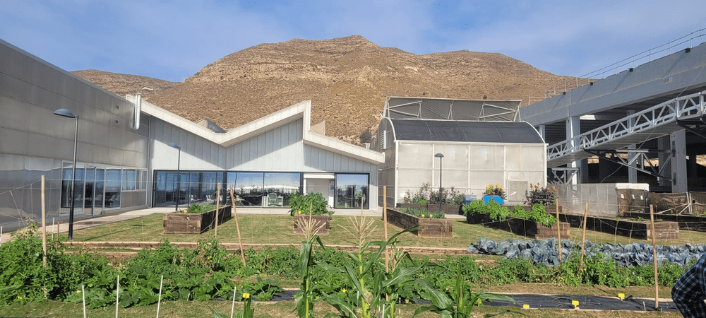 Agricultor din Olt, impresionat de cum se face legumicultură în Spania. „Fermierul de acolo are doar grija producției”