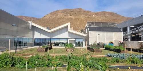 fermele i au impresionat pe legumicultorii romani   foto arhiva victor radu jpeg