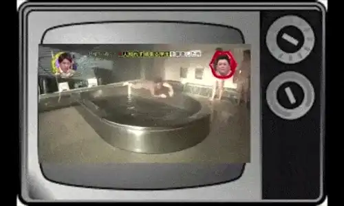 19112 s2g0nu gif