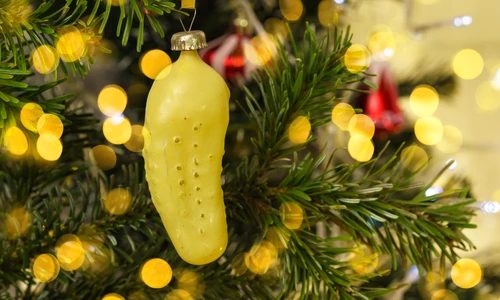 1 shutterstock 1864519708 jpg jpeg