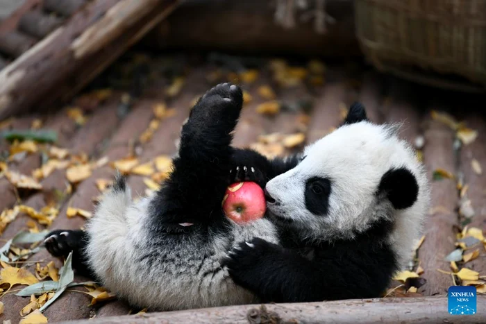 Foto: Xinhua