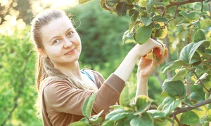 femeie gutui212112 jpeg