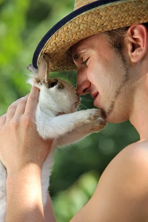 Şi iepurii se numără printre animalele preferate ale bărbaţilor