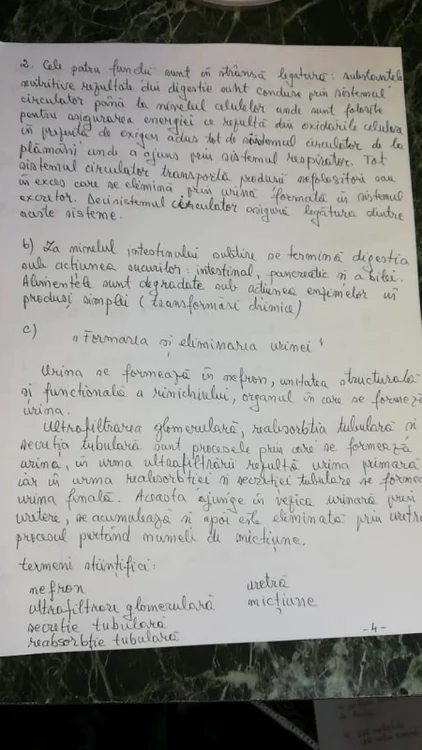 rezolvare anatomie foto arhiva