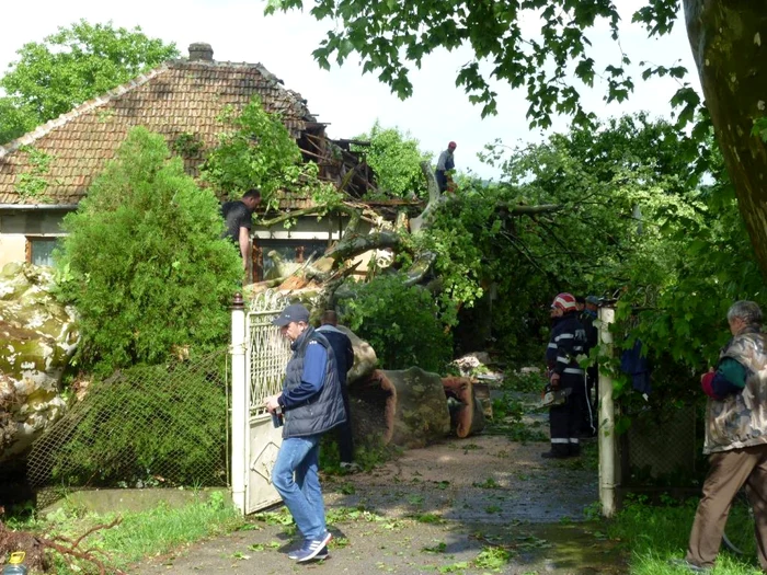 Copacul a căzut peste casă FOTO Bogdan Iancu