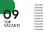 Google Cautari Vacante jpg