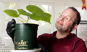 Daniel este foarte mândru de urzica lui ucigașă jpg