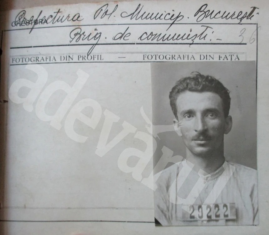 alexandru iliescu