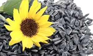 seminte eva ro  jpeg