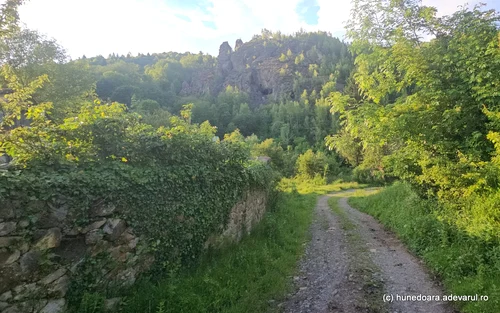 Roșia Montană Foto Daniel Guță ADEVĂRUL (34) jpg