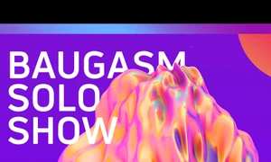 Expoziția Baugasm Solo Show jpeg