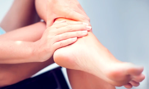 shutterstock 1138043219 jpg