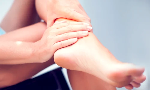 shutterstock 1138043219 jpg