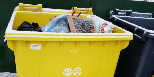 hotii de carton