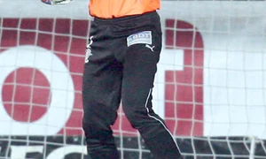 dani coman jpeg