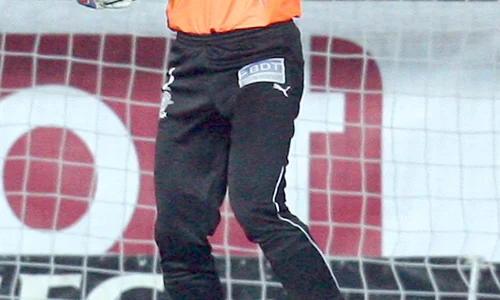 dani coman jpeg