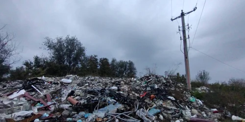 deseuri 3 facebook garda de mediu jpg