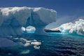Aisberg se topeste in  Antarctica FOTO Shutterstock 