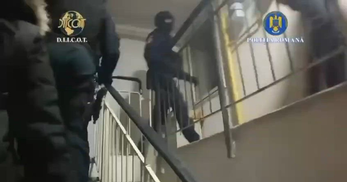 17 percheziții în Suceava și București pentru falsificare