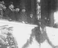 serbari unire 1929