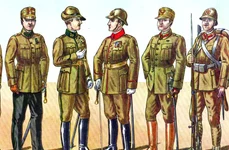 Nasturii uniformelor militare   o «soluție» pentru înzestrarea Armatei Române jpeg