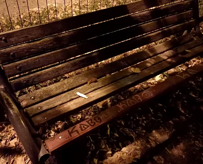 Banca vandalizată. FOTO Poliția Locală Pitești