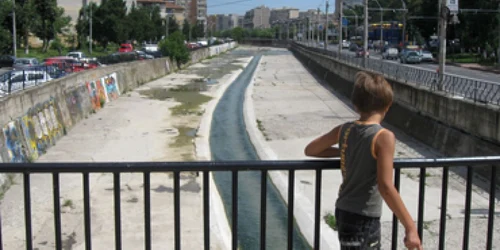 Neamţ: Cuiejdiul, soluţia Primăriei la criza locurilor de parcare