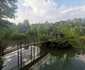 Plai 21 jpg