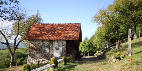 locul nasterii lui arsenie boca foto adevarul 