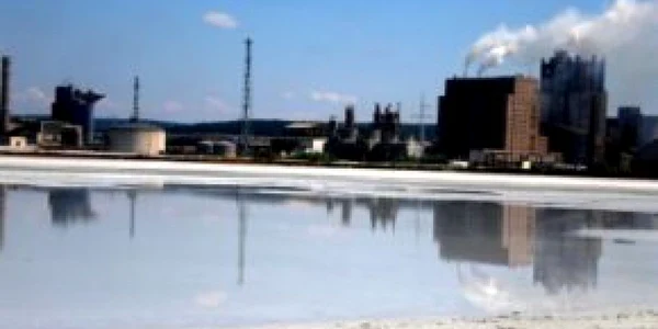 AVAS vrea să instituie un sistem de ajutor de stat