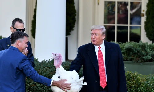 1 shutterstock 1572261592 jpg jpeg