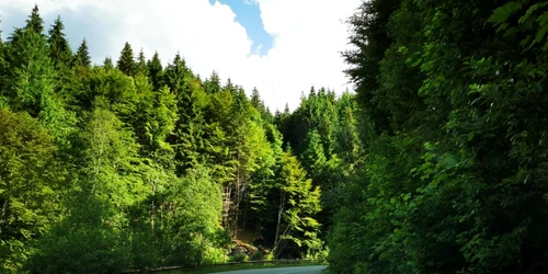 dn 66a uricani campusel foto daniel guta adevarul