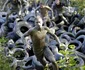 Cursa cu obstacole în noroi „Wild Sau Dirt Run” din Austria