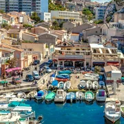 Marsilia Sutterstock png