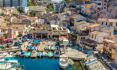 Marsilia Sutterstock png