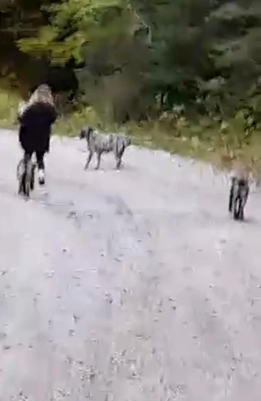 Anca Badiu a fost la munte. Sursă: Click!