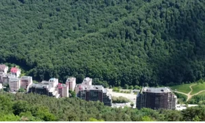 vf tampa brasov jpg