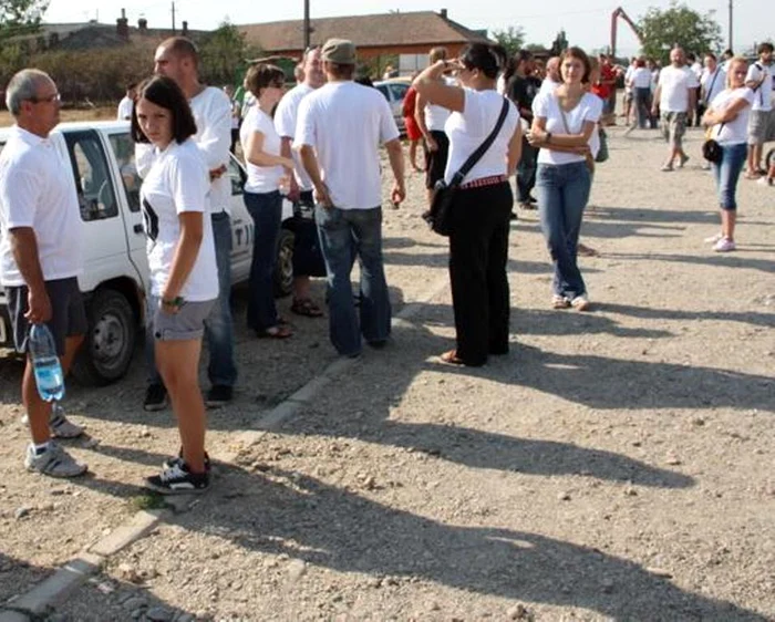 Protest împotriva eutanasierii maidanezilor