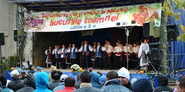 sarbatoare niculitel arhiva foto ansamblul plai de dor niculitel jpg