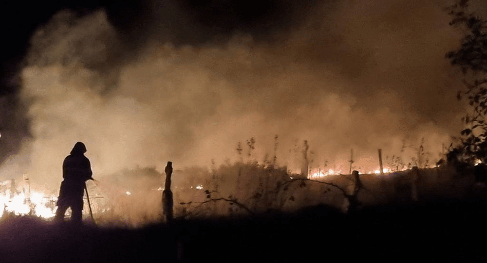 Incendiu în cimitirul din satul Slava Rusă. Flăcările au distrus o treime din morminte