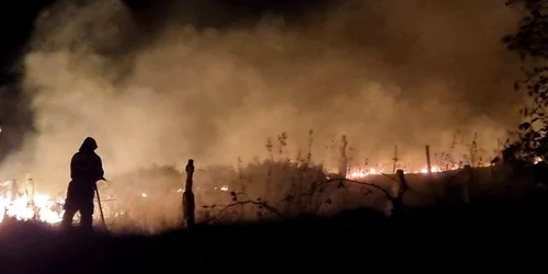 Incendiu în cimitir FOTO ISU Delta Tulcea jfif