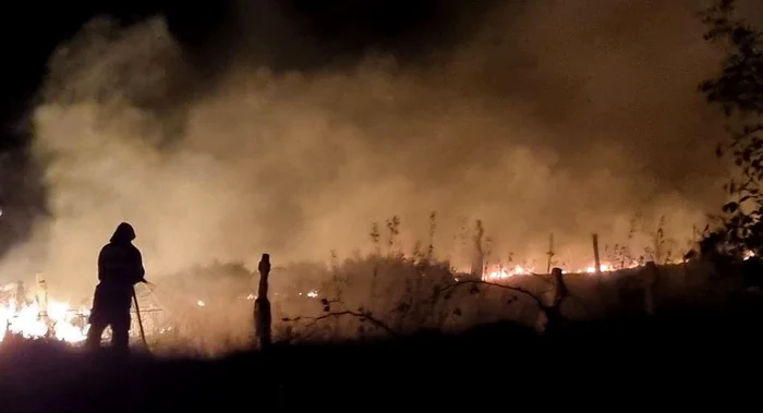 Incendiu în cimitirul din Slava Rusă FOTO ISU Delta Tulcea